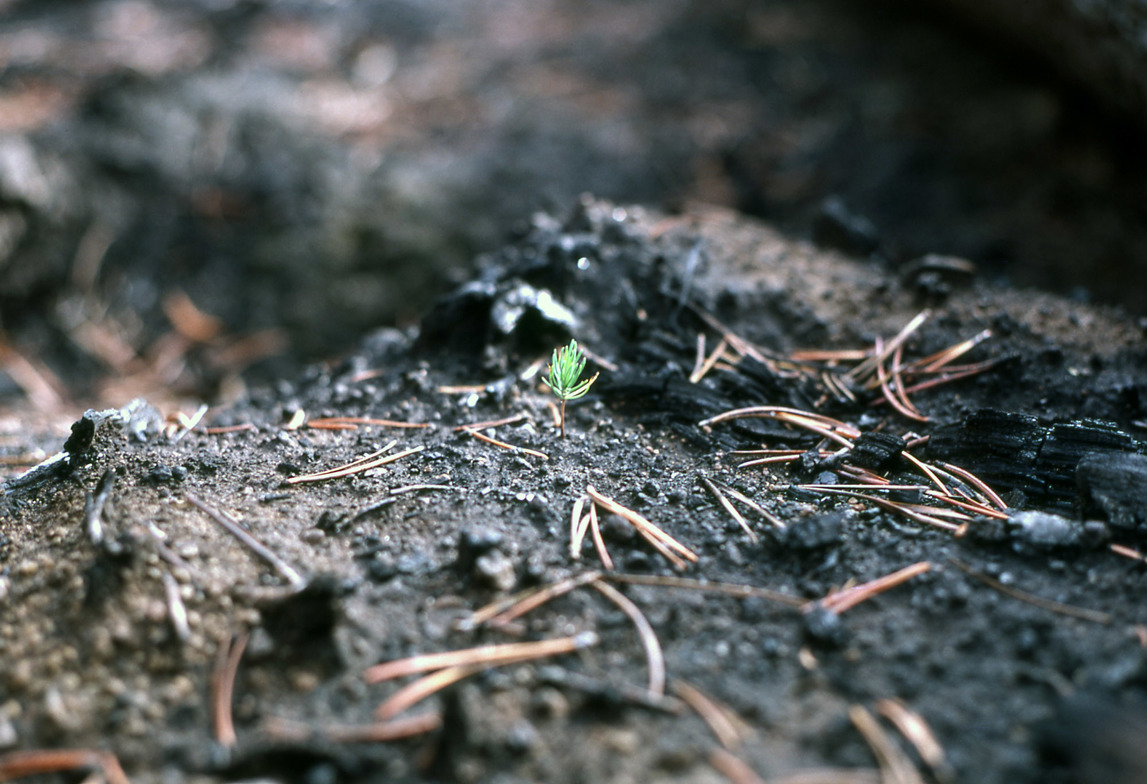 Slideshow image